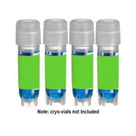 Diversified Biotech Direct Thermal Cryo-Tags, 1.50 x 0.75", Green, 750/rl 249402G